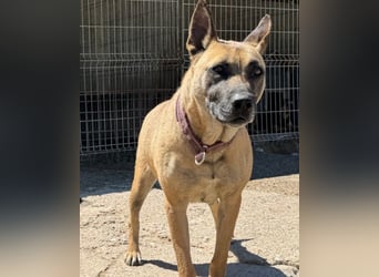 Rea sucht ihr Für-Immer-Zuhause