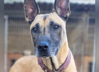 Rea sucht ihr Für-Immer-Zuhause ❤