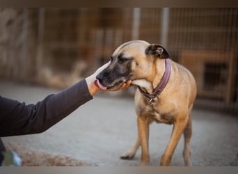 Rea sucht ihr Für-Immer-Zuhause