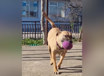 Rea sucht ihr Für-Immer-Zuhause ❤