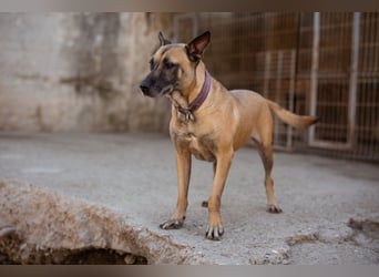 Rea sucht ihr Für-Immer-Zuhause