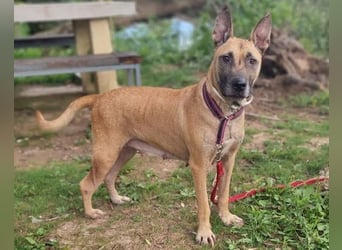 Rea sucht ihr Für-Immer-Zuhause