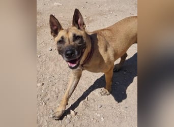 Rea sucht ihr Für-Immer-Zuhause ❤