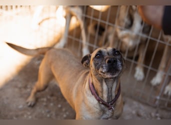 Rea sucht ihr Für-Immer-Zuhause ❤