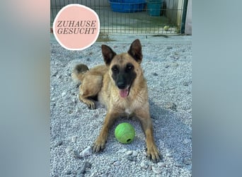 Madeline sucht ihr Glück ❤️