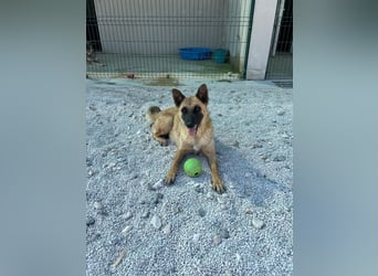 Madeline sucht ihr Glück ❤️