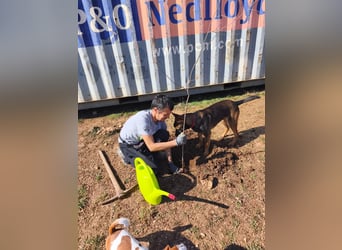 Charles sucht sein forever Home❤️