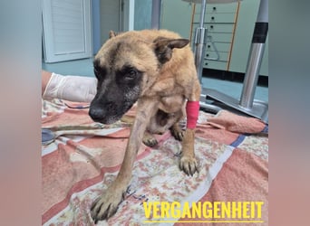 Zeki - hat Hölle hinter sich gelassen
