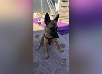 Lola, sucht einen ruhigen Platz