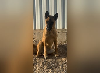 Lola, sucht einen ruhigen Platz