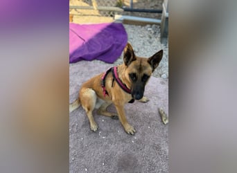 Lola, sucht einen ruhigen Platz