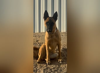 Lola, sucht einen ruhigen Platz