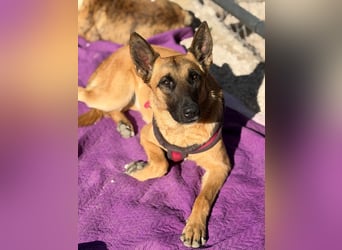 Lola, sucht einen ruhigen Platz