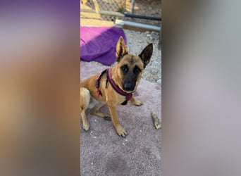 Lola, sucht einen ruhigen Platz