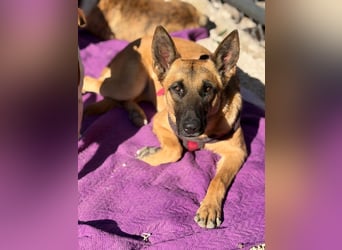 Lola, sucht einen ruhigen Platz