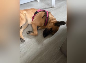 Lola, sucht einen ruhigen Platz