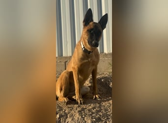 Lola, sucht einen ruhigen Platz