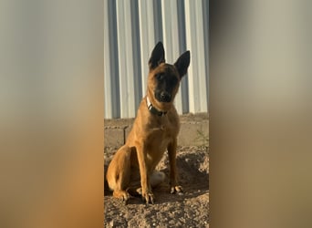 Lola, sucht einen ruhigen Platz