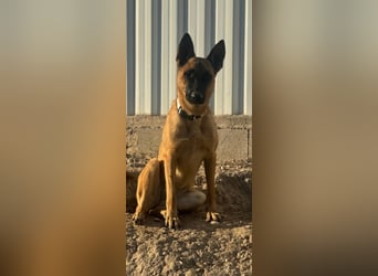 Lola, sucht einen ruhigen Platz