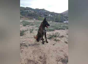 Tito, gehorsam und menschenbezogen