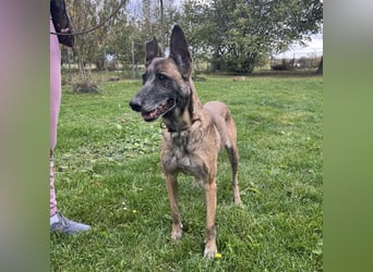 Gea noch fit wie ein Turnschuh