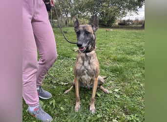 Gea noch fit wie ein Turnschuh