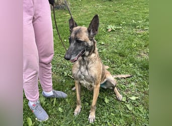 Gea noch fit wie ein Turnschuh