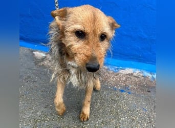 LÖWE ein absoluter Schatz