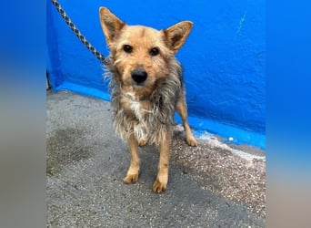 LÖWE ein absoluter Schatz