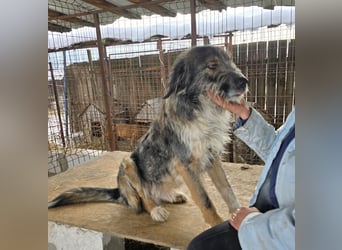 Ferdi - soo freundlich