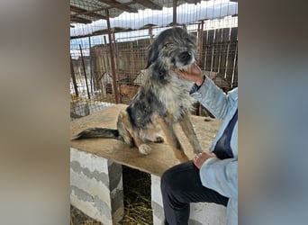 Ferdi - soo freundlich