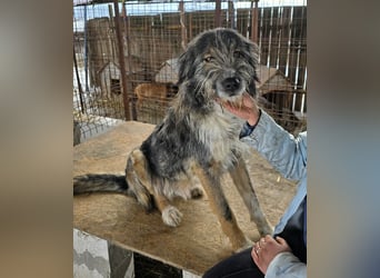 Ferdi - soo freundlich