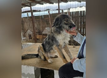 Ferdi - soo freundlich