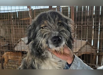 Ferdi - soo freundlich