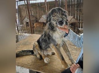 Ferdi - soo freundlich