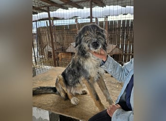 Ferdi - soo freundlich