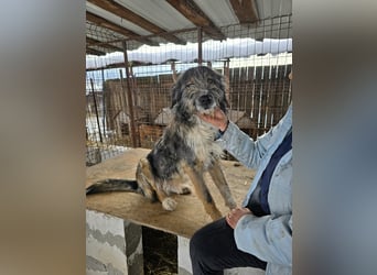 Ferdi - soo freundlich