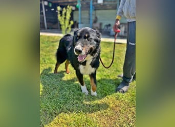 Jack sucht einen Gnadenplatz