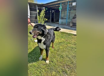 Jack sucht einen Gnadenplatz