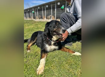 Jack sucht einen Gnadenplatz