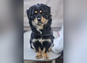 Edda - sehr freundliche und menschenbezogen