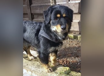 Edda - sehr freundliche und menschenbezogen