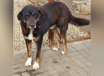 Lucky: wer lässt seine Augen strahlen