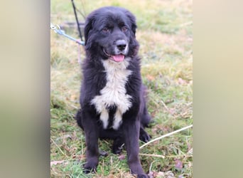 Amy ein richtiger Teddybär