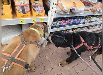 Roxana auf den Weg ins Leben