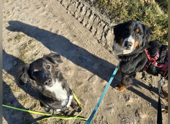 Roxana auf den Weg ins Leben