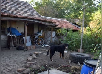 Roxana auf den Weg ins Leben