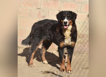 Roxana auf den Weg ins Leben