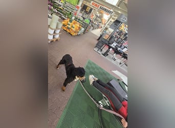 Roxana auf den Weg ins Leben