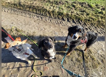 Roxana auf den Weg ins Leben